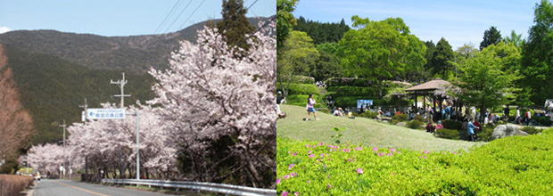 樹芸の森公園の写真