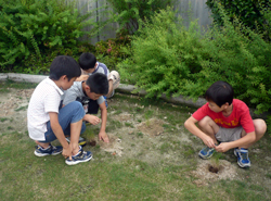 やまばと児童館遊技場芝生補植事業の写真2