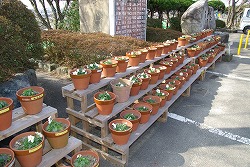 北勢門小花壇の写真