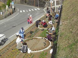 若杉団地花壇整備の写真1