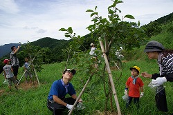 「木の実の里」みまもり事業の写真