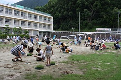 篠栗小グラウンド芝生化事業の写真2