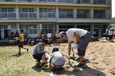 篠栗小学校グランド芝生化応援事業写真2