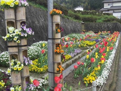 若杉団地花壇整備事業写真2