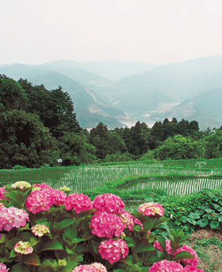 荒田高原の写真